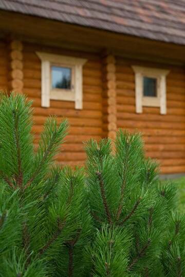 Фото номера Дом для отпуска Дома для отпуска Partsilombi Holiday Home г. Отепя 8