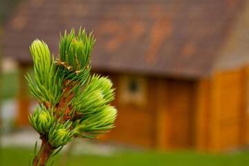 Фото номера Дом для отпуска Дома для отпуска Partsilombi Holiday Home г. Отепя 52