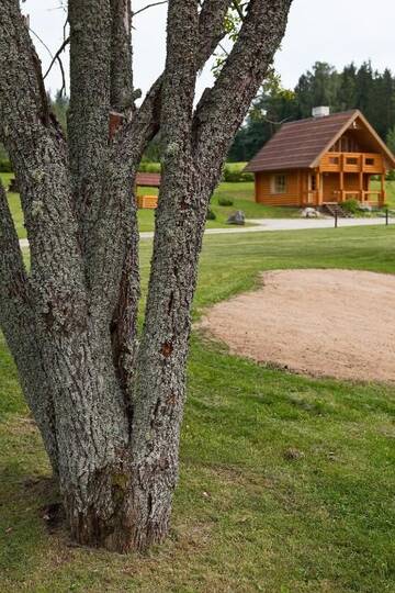 Фото номера Дом для отпуска Дома для отпуска Partsilombi Holiday Home г. Отепя 69