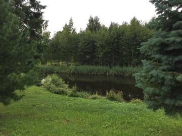 Фото номера Дом для отпуска Дома для отпуска Paju Holiday Home г. Отепя 12