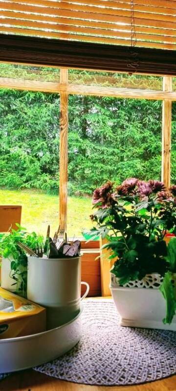 Фото номера Дом для отпуска Дома для отпуска Lombi Holiday House г. Отепя 51
