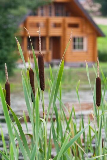 Фото номера Дом для отпуска Дома для отпуска Lombi Holiday House г. Отепя 38
